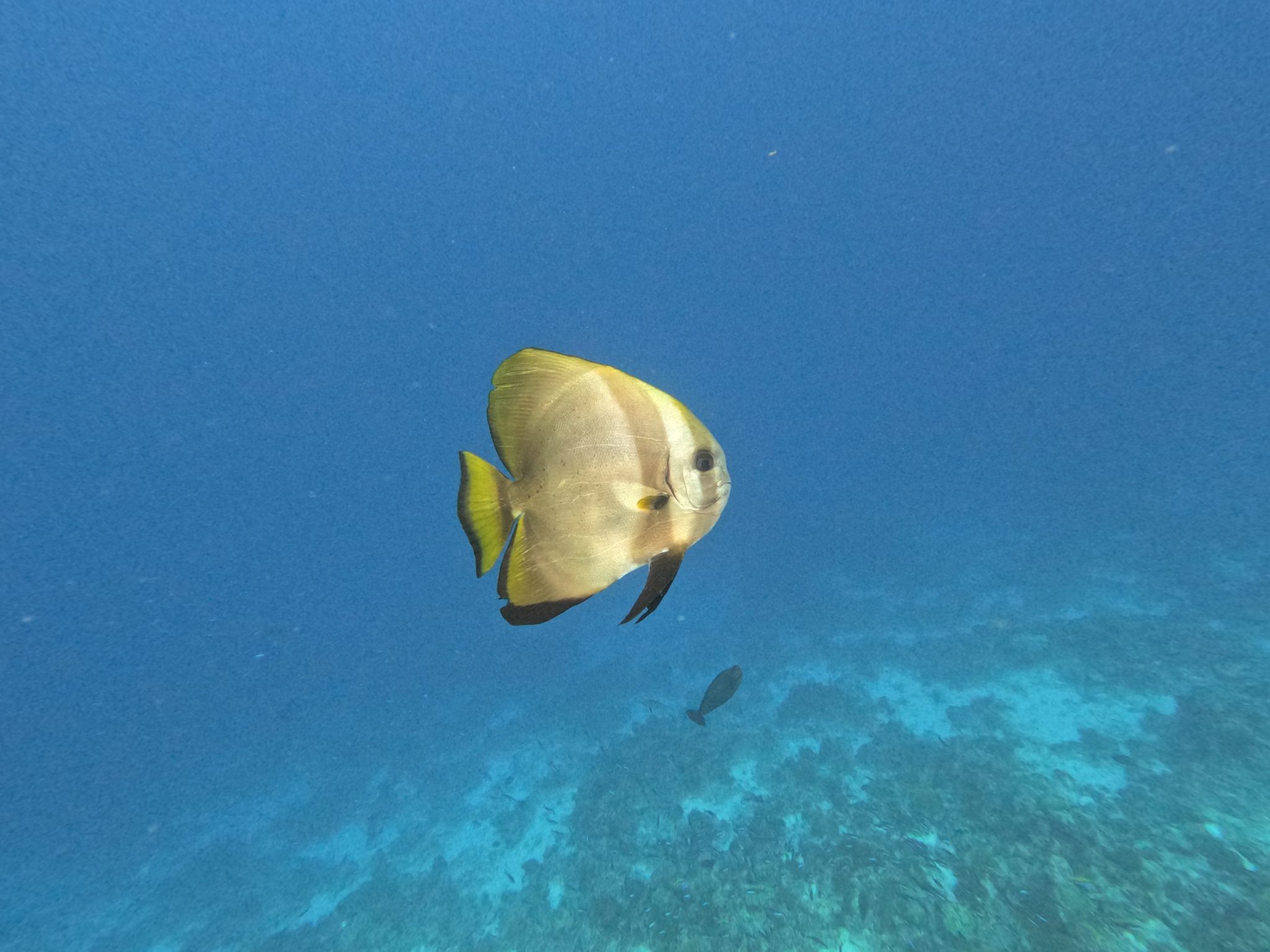 DCIM100GOPROGOPR5835.JPG